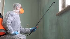 Best Mold Odor Removal Services  in Powell, OH